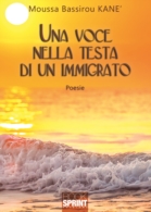 Una voce nella testa di un immigrato
