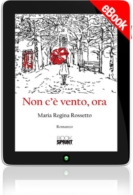 E-book - Non c'è vento, ora